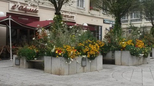 fontenay-au-roses,fleurs,fleurissement,roses,espaces verts,jardiniers,mairie,rue